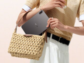 O Pad Mini custa a partir de US$ 699 na Giztop. Na foto: uma imagem promocional mostrando o design traseiro e o formato compacto do tablet.