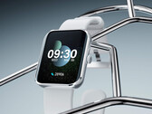 O Watch D Pro e o Watch D Ultra vêm em três cores. (Fonte da imagem: DIZO)