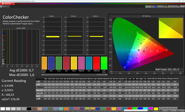 Precisão de cores (perfil: profissional, padrão, espaço de cores de destino: sRGB)