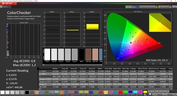 CalMAN ColorChecker (espaço de cor alvo DCI-P3)