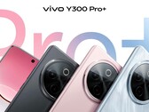 O "Y300 Pro+". (Fonte da imagem: Sandwich Sister via Weibo)