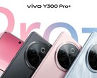 O "Y300 Pro+". (Fonte da imagem: Sandwich Sister via Weibo)