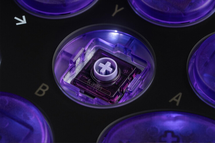 (Fonte da imagem: 8BitDo)