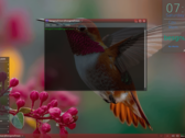 Besgnulinux 4-0 baseado no Debian já está disponível