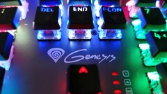 Genesis Thor 400 RGB revisão prática do teclado mecânico (Fonte: Própria)