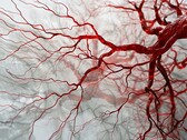 A nova tecnologia baseada em PAT pode ser usada para capturar imagens rápidas e sem borrões de vasos sanguíneos para um diagnóstico oportuno. (Fonte da imagem: Neuroscience News)