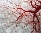 A nova tecnologia baseada em PAT pode ser usada para capturar imagens rápidas e sem borrões de vasos sanguíneos para um diagnóstico oportuno. (Fonte da imagem: Neuroscience News)