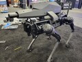 O cão robô SPUR fabricado pela Ghost Robotics é equipado com um módulo de espingarda de atirador furtivo nas costas (Imagem: Ghost Robotics)