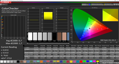 CalMAN ColorChecker calibrado