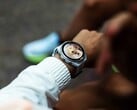 A Garmin Connect IQ Store está atualmente atrasando as atualizações de aplicativos em vários dias.