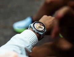 A Garmin Connect IQ Store está atualmente atrasando as atualizações de aplicativos em vários dias.