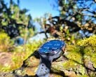 Em análise: Samsung Galaxy Watch Ultra2