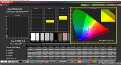 CalMAN ColorChecker (espaço de cor alvo P3)