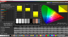 CalMAN ColorChecker calibrado (AdobeRGB target color space)