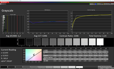 Tela principal: escalas de cinza (modo de cor: normal, cor de temperatura: padrão, espaço de cor alvo: sRGB)