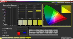 CalMan ColorChecker - Saturação