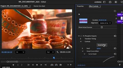 Os mais de 90 novos efeitos em tempo real acelerados por GPU no Adobe Premiere Pro 25.5 ajudam os editores de filmes a adicionar efeitos criativos aos filmes mais rapidamente. (Fonte da imagem: Adobe)