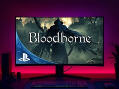 Versão para PC de Bloodborne vista no monitor de jogos (Fonte da imagem: Sony PlayStation com edições)