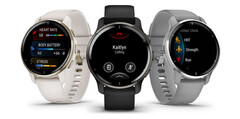 O Venu 2 Plus está disponível em três cores. (Fonte da imagem: Garmin)