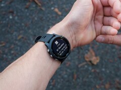 A Garmin lançará em breve a versão Beta Pública 23.09 para alguns smartwatches Forerunner. (Fonte da imagem: Garmin)