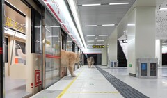 Um gato descendo do trem (Fonte da imagem: Xing&#039;s World via YouTube; captura de tela)