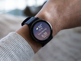A Garmin ainda não informou quando as atualizações da v11 chegarão ao status estável. (Fonte da imagem: Garmin)