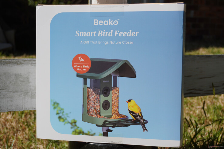 Sugere-se fortemente a oferta de presentes 