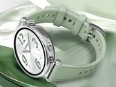 A Huawei parece disposta a atualizar o Watch GT 4 pela segunda vez. (Fonte da imagem: @MysteryLupin)
