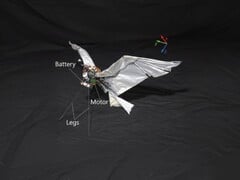 Uma imagem do RoboFalcon2.0 (Fonte da imagem: pesquisadores; editado)