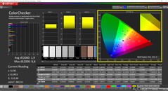 CalMAN ColorChecker calibrado