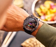 O Garmin Connect+ está sendo expandido para incluir o registro de nutrição. (Fonte da imagem: Garmin)
