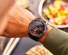 O Garmin Connect+ está sendo expandido para incluir o registro de nutrição. (Fonte da imagem: Garmin)