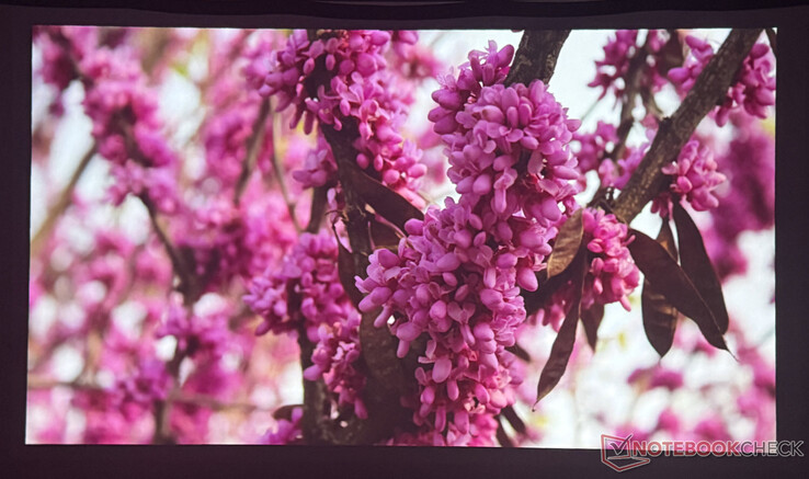 Qualidade de imagem Nebulosa P1 em uma sala escura (Fonte da imagem: Pexels)