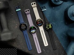 O Garmin Vivoactive 5 já pode receber a versão 8.27 do Public Beta Update. (Fonte da imagem: Garmin)