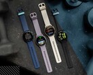 O Garmin Vivoactive 5 já pode receber a versão 8.27 do Public Beta Update. (Fonte da imagem: Garmin)