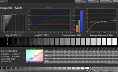 CalMAN Grayscale (Escala de cinza)