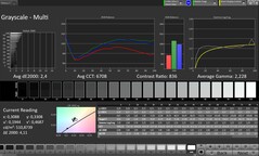 CalMAN: Escala de cinza