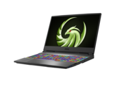 A nova linha Alfa inclui modelos de 17 polegadas com displays IPS FHD de 144 Hz. (Fonte de imagem: MSI)