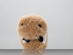 Dieter (Fonte da imagem: ZKM Karlsruhe)