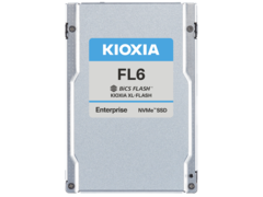 O FL6 SSD da Kioxia visa proporcionar um desempenho superior e preços consideravelmente mais baixos quando comparado com os SSDs Optane da Intel. (Fonte de imagem: Kioxia)