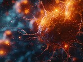 O processo de degradação da actina envolve uma interação precisa entre três proteínas, que os pesquisadores descrevem como uma "dança molecular". (Fonte da imagem: TyliJura via Pexels)