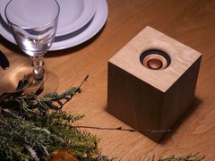 O alto-falante sem fio JVCKenwood WDS-01 usa madeira para o gabinete e o driver. (Fonte da imagem: JVCKenwood)