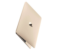 Ainda não há nenhuma evidência concreta que sugira que um novo MacBook de 12 polegadas esteja em desenvolvimento. (Fonte da imagem: Apple)