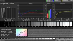 Escalas de cinza CalMAN