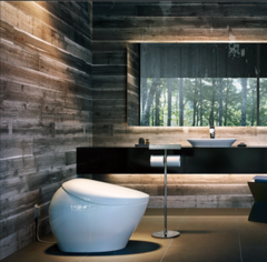 Um fabricante japonês de vasos sanitários pode se beneficiar muito com o atual boom da IA