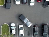 O Park Assist do Cybertruck ainda tem alguns problemas (Fonte da imagem: Chuck Cook/YT)