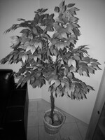 Câmera de visão noturna