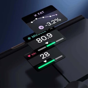 O visor pode exibir diferentes tipos de dados