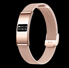 (Fonte da imagem: Rogbid)