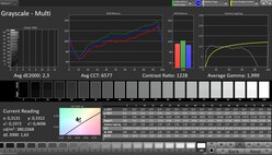 CalMAN Grayscale (Escala de cinza)